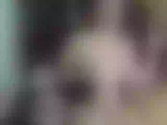 Live sex webcam photo for anastasia-hot #276244867