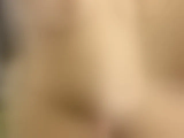Live sex webcam photo for anawatson #293817029