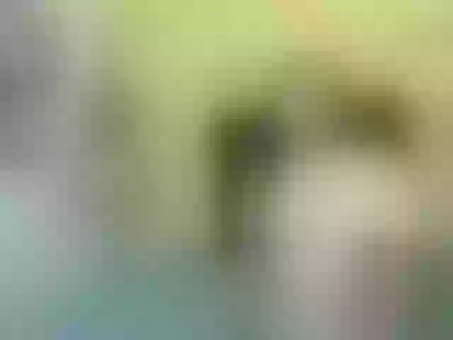 Live sex webcam photo for anber-fox #274650970