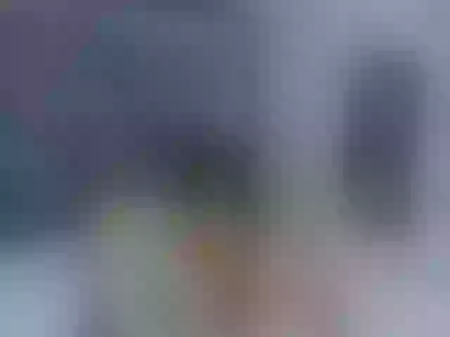 Live sex webcam photo for ancyprices #290335235