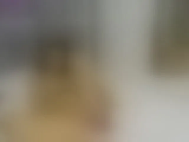 Live sex webcam photo for ancyprices #290341946