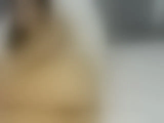 Live sex webcam photo for ancyprices #290395424