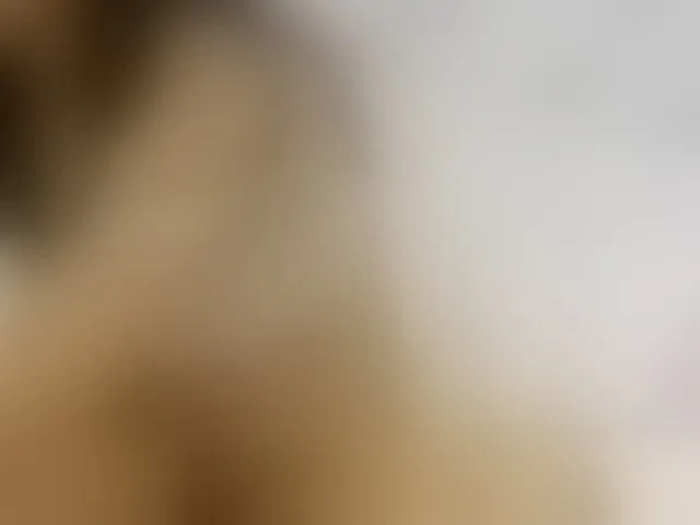 Live sex webcam photo for ancyprices #290441294