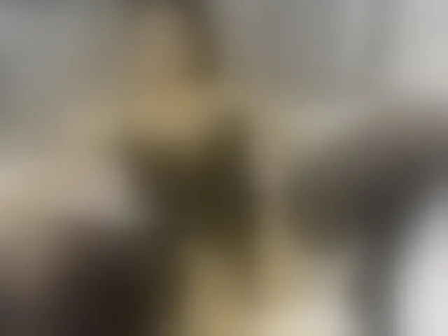 Live sex webcam photo for ancyprices #290448122