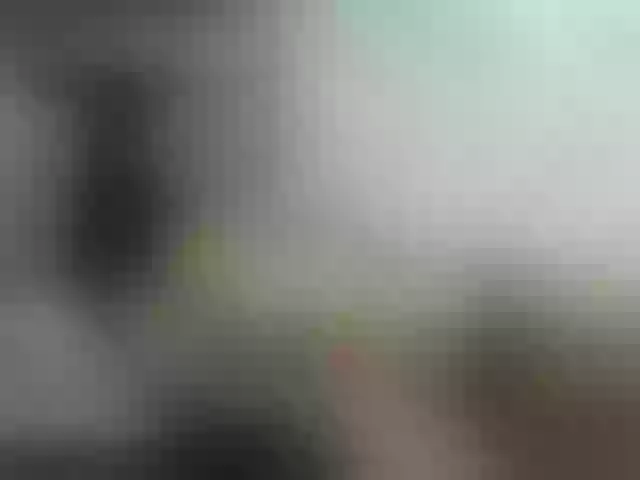 Live sex webcam photo for ancyprices #290529364
