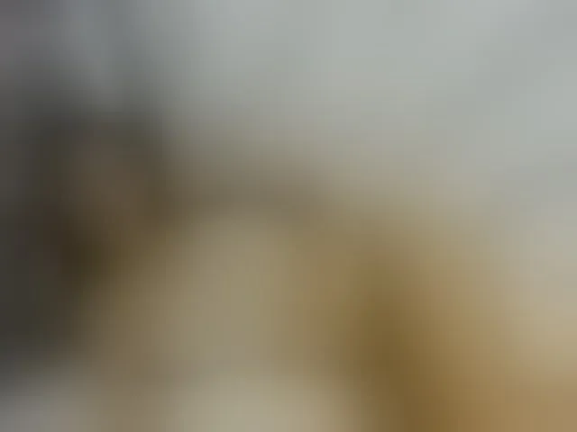 Live sex webcam photo for ancyprices #290576589