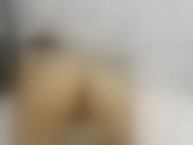 Live sex webcam photo for ancyprices #290584063