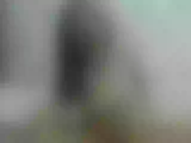 Live sex webcam photo for ancyprices #290826237