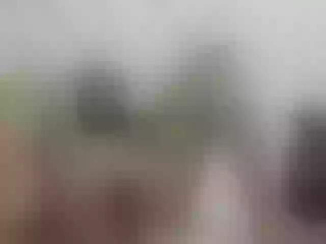 Live sex webcam photo for ancyprices #290852624