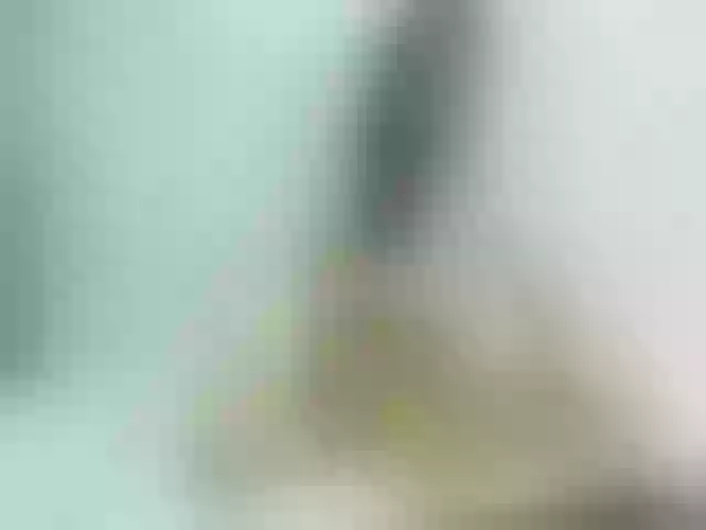 Live sex webcam photo for ancyprices #290914822