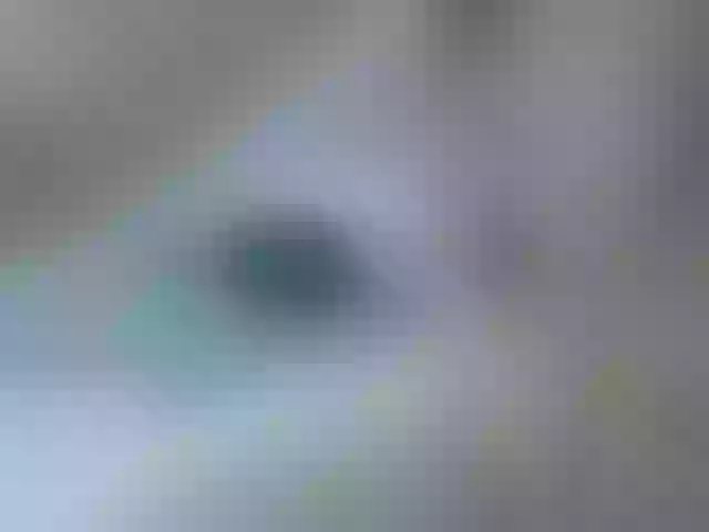 Live sex webcam photo for andrea-ruby #272749240