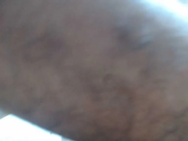 Live sex webcam photo for andrew1520 #276313677