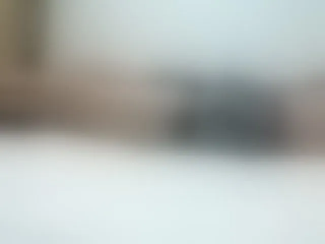 Live sex webcam photo for andrew1520 #292958068