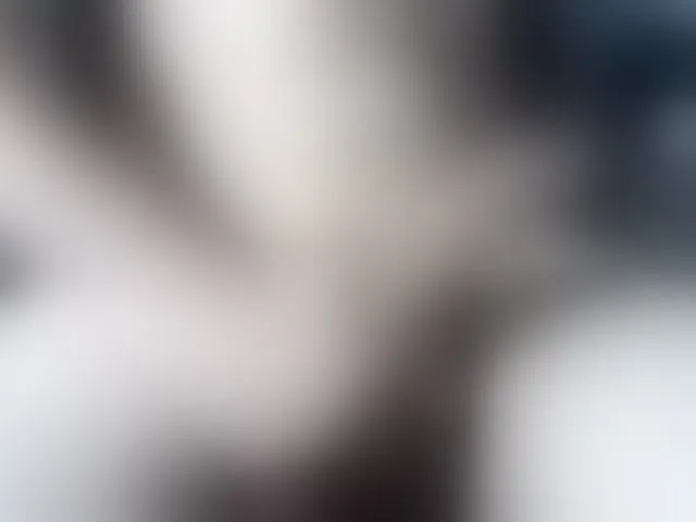 Live sex webcam photo for andrew1520 #293814169