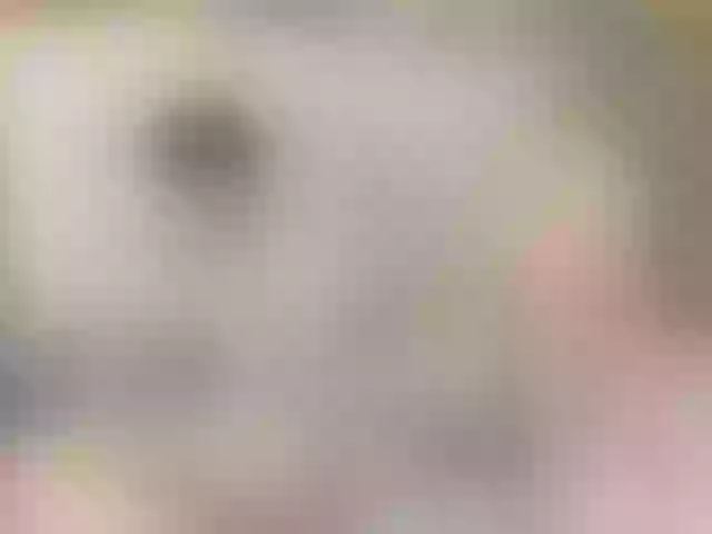 Live sex webcam photo for angelaa-23 #289875823