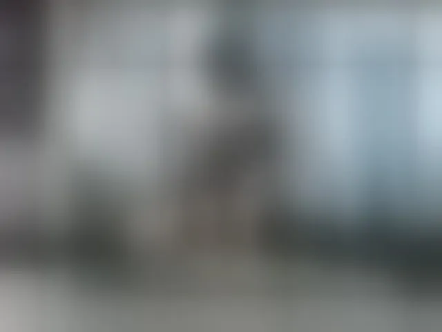 Live sex webcam photo for angelinasia #293295341