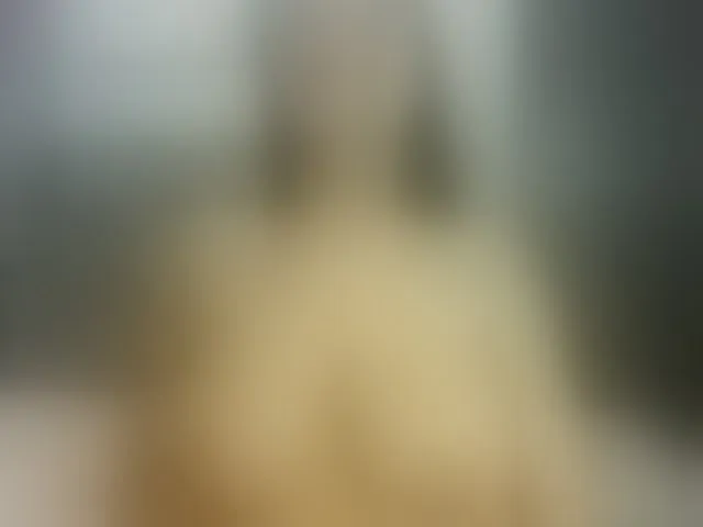 Live sex webcam photo for angeline-bleak #292422633