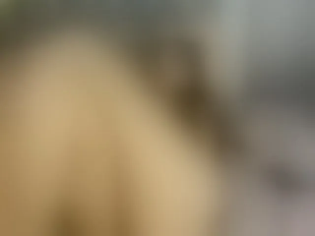 Live sex webcam photo for angeline-bleak #292555184