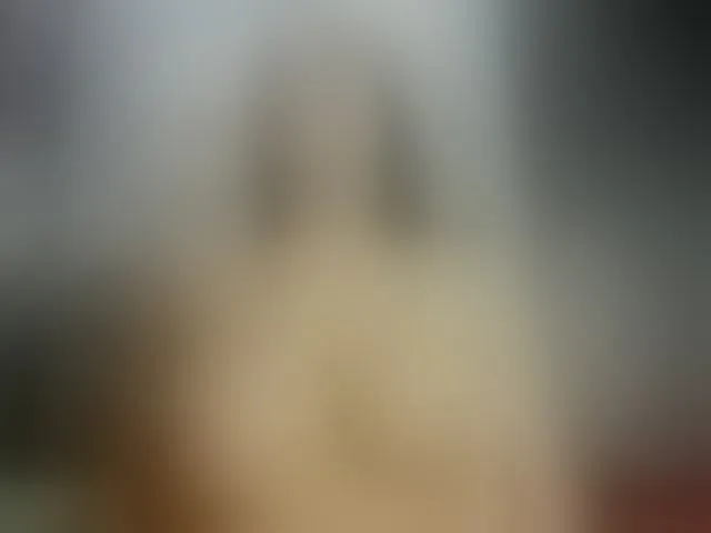 Live sex webcam photo for angeline-bleak #292635147