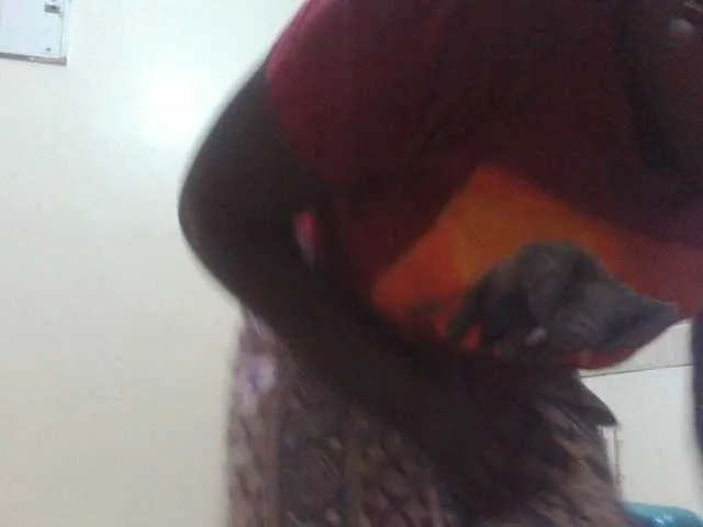 Live sex webcam photo for angelofkenya #277437433