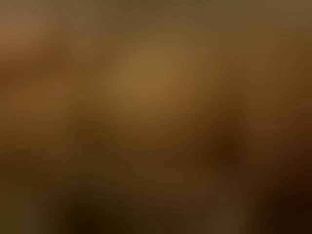 Live sex webcam photo for aniram2221 #291546238