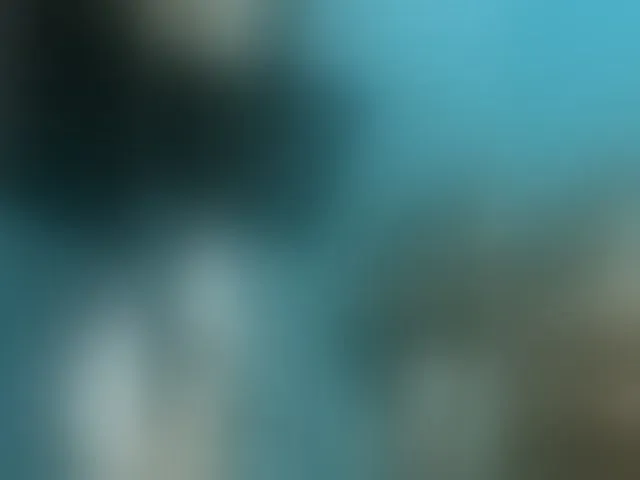 Live sex webcam photo for aniram2221 #293022911