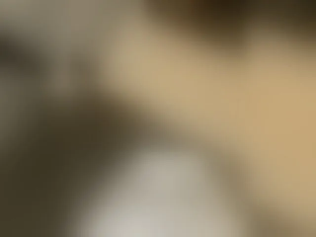 Live sex webcam photo for aniram2221 #293257060