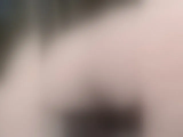 Live sex webcam photo for aniram2221 #293325037