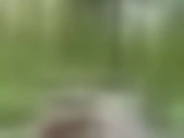 Live sex webcam photo for aniram2221 #293697439