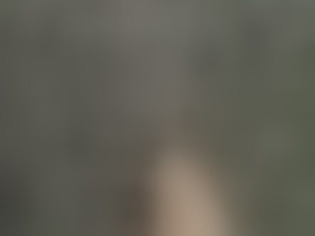 Live sex webcam photo for aniram2221 #293722778