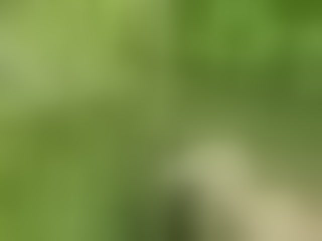 Live sex webcam photo for aniram2221 #293732086
