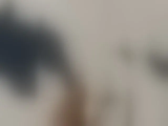 Live sex webcam photo for aniram2221 #293774667