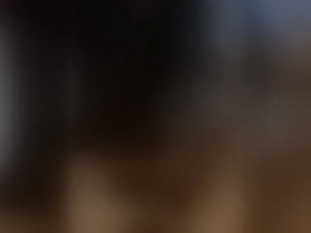 Live sex webcam photo for aniram2221 #293792280