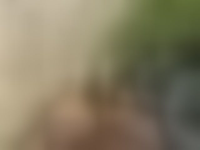 Live sex webcam photo for aniram2221 #293935588