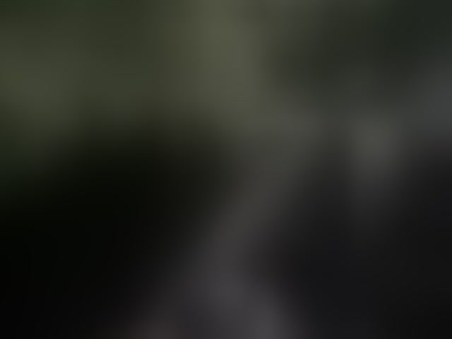 Live sex webcam photo for aniram2221 #293989228