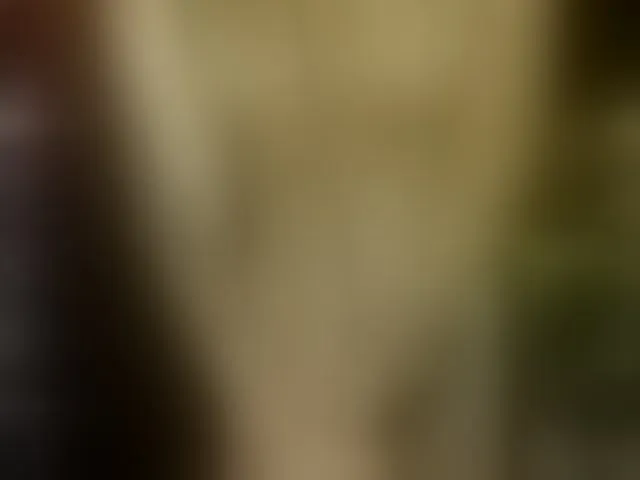 Live sex webcam photo for anitacruisze1 #294154997