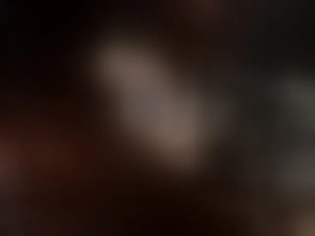 Live sex webcam photo for anitacruisze1 #294180493