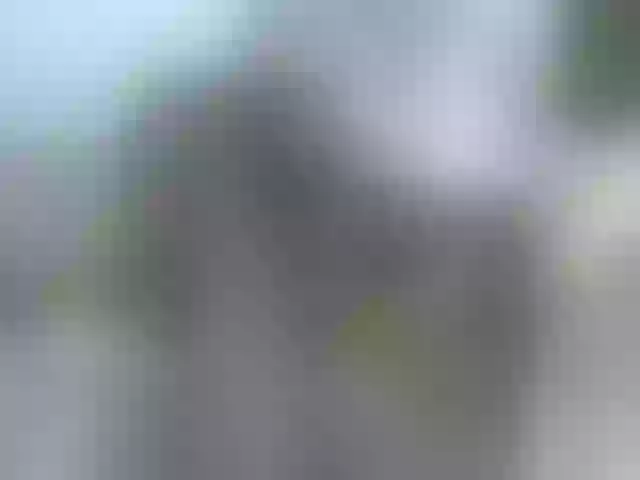 Live sex webcam photo for annabella3 #290478233