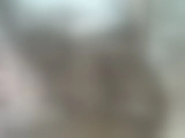 Live sex webcam photo for annabella3 #290511367