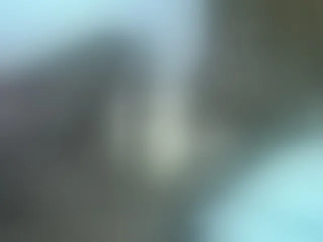 Live sex webcam photo for annabella3 #291929759