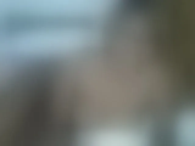Live sex webcam photo for annabella3 #292475082