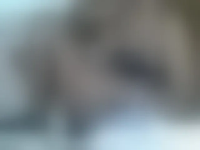 Live sex webcam photo for annabella3 #292492632