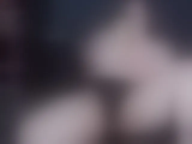 Live sex webcam photo for annablueready #294234690