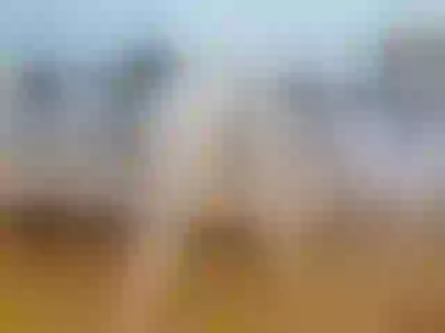 Live sex webcam photo for annemariy #276257928