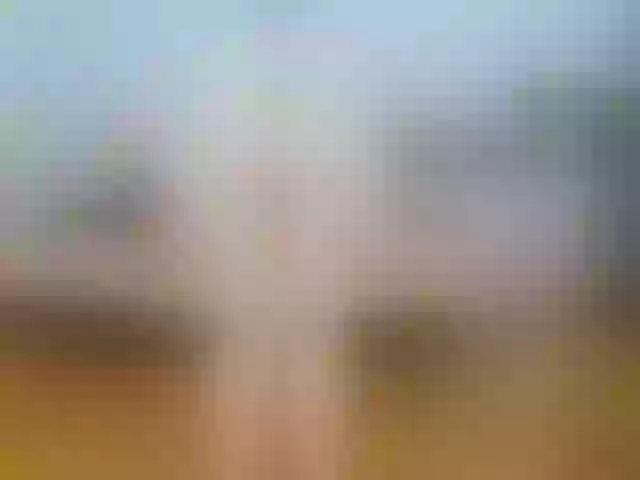Live sex webcam photo for annemariy #277114809