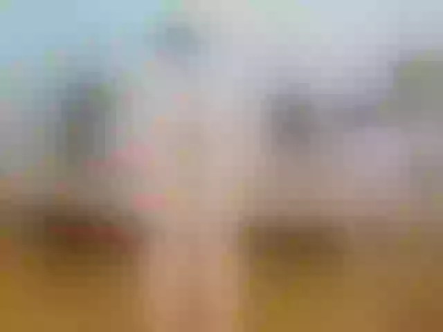 Live sex webcam photo for annemariy #277253090