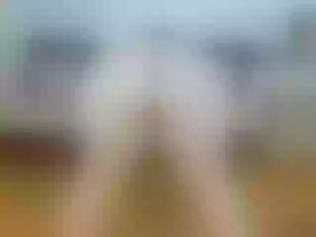 Live sex webcam photo for annemariy #278182597