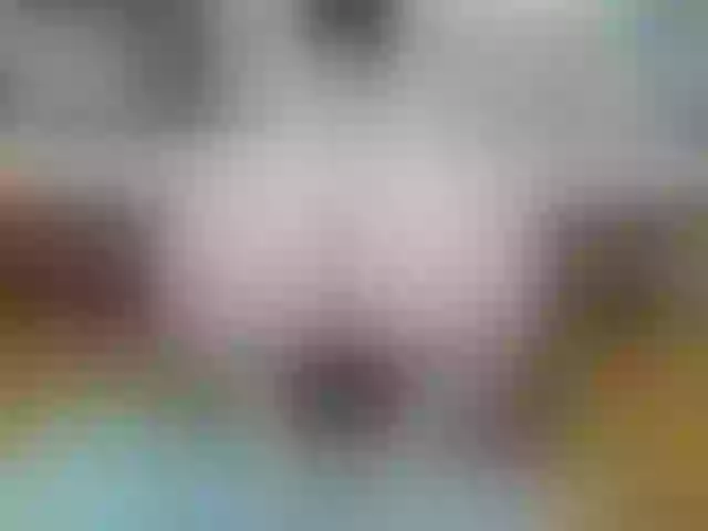 Live sex webcam photo for annemariy #278213798
