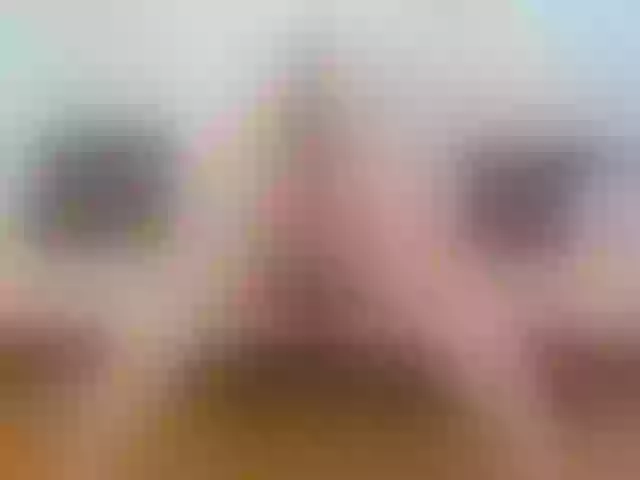 Live sex webcam photo for annemariy #291235472