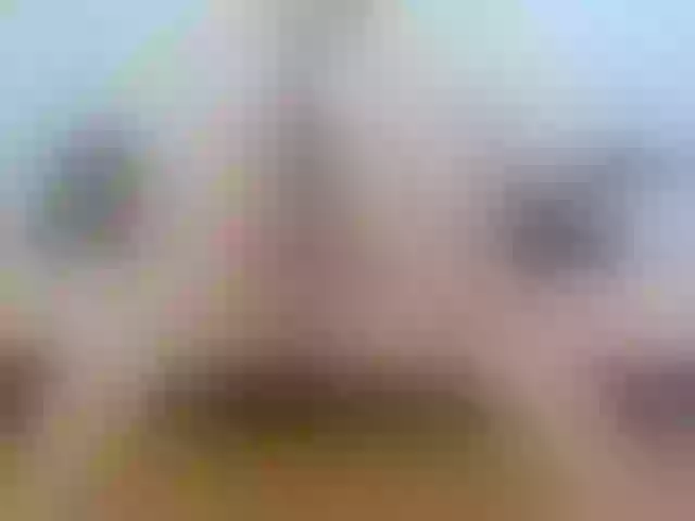Live sex webcam photo for annemariy #291619691